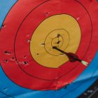 Close-up of a target in archery with a single arrow hitting the bullseye, showcasing precision and skill.