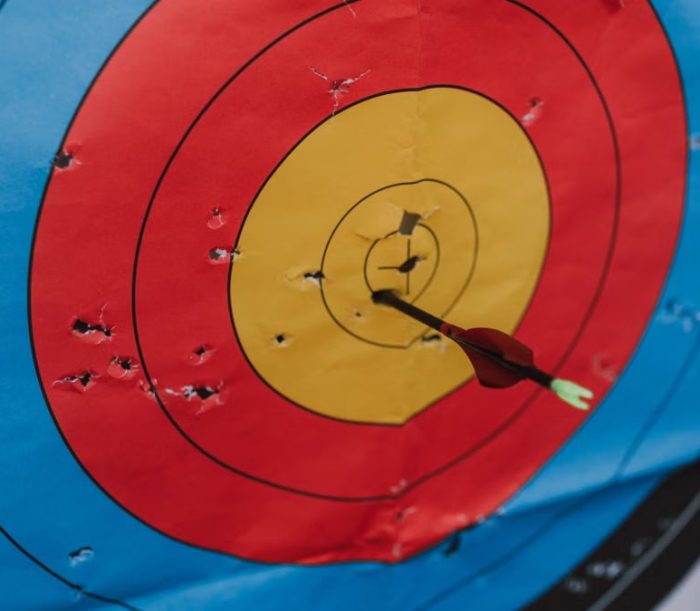 Close-up of a target in archery with a single arrow hitting the bullseye, showcasing precision and skill.